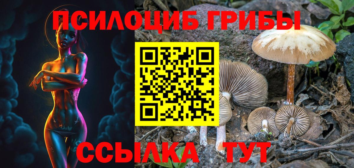 Камышлов  Псилоцибиновые грибы прущие грибы  Вход с VPN  Псилоцибиновые грибы ЛСД 