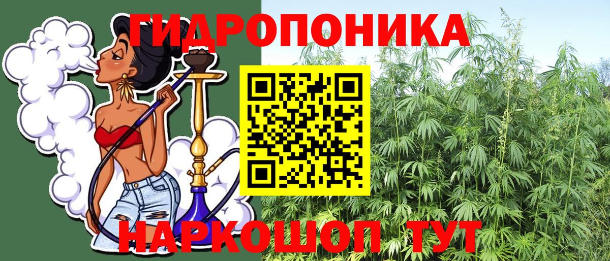 Канабис гибрид Камышлов
